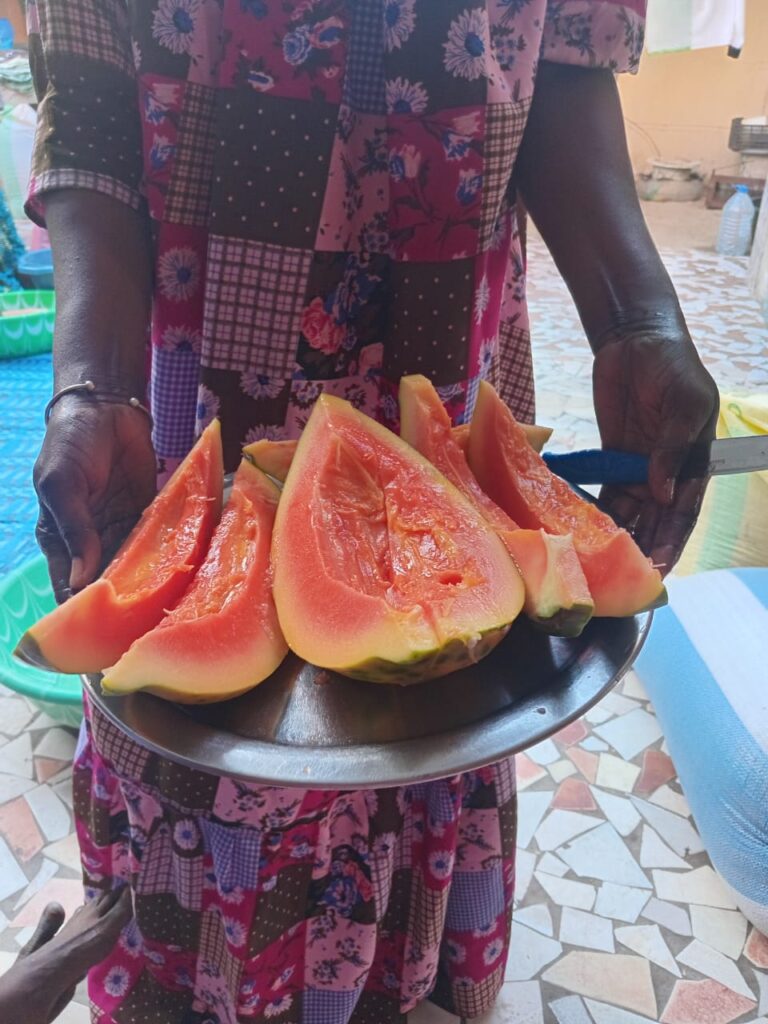 El Papayo ha dado sus primeros frutos